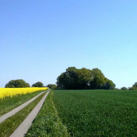 公寓 Ruegen_fewo 123 *